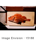 #15188 Picture Of A Yellow Rockfish On A Board