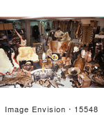 #15548 Picture Of Hundreds Of Confiscated Wildlife Products