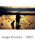#15551 Picture Of A Hunter And His Dog Wading In A Marsh Duck Hunting