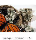 #156 Image Of A Butterfly In A Nest With Crumpled Cash