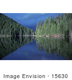 #15630 Picture Of A Blue Sky And Evergreen Forest Reflecting In A Lake
