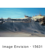 #15631 Picture Of Shadows Cast On Sand Dunes From A Fence On A Beach