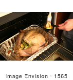 #1565 Person Buttering A Turkey With A Brush