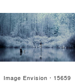 #15659 Picture Of A Frosty Morning With A Birdhouse Reflecting In A Body Of Water