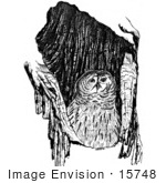 #15748 Picture Of A Barrow Owl (Athene Cunicularia)