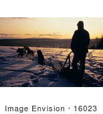 #16023 Picture Of A Man And Dogs Sledding At Sunrise