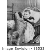 #16533 Picture Of A Dog And Baby