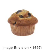 #16971 Picture Of One Whole Blueberry Muffin Still In The Cupcake Liner