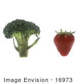 #16973 Picture Of Fruit And Veggies Broccoli And Strawberry Side By Side