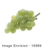 #16989 Picture Of A Green Grape Bunch Over A White Background