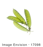 #17098 Picture Of A Small Group Of Four Whole Green Snow Peas