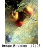 #17123 Picture Of A Peach Nectarine Cherry Tomato And A Plum On A Marble Background
