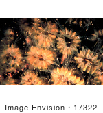 #17322 Picture Of Peach Colored Flower Corals (Eusmilia Fastigiata)