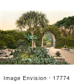 #17774 Photo Of Ivy Covered Wall And Archway Over A Path In The Tresco Abbey Gardens Scilly Isles Cornwall England