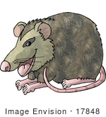 #17848 One Rat With Pink Feet Nose Ears And Tail Clipart