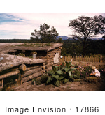 #17866 Photo Of A Child In A Garden By A Dugout Home In Pie Town New Mexico