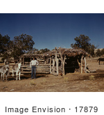 #17879 Photo Of A Farmer With His Donkeys Near A Log Barn