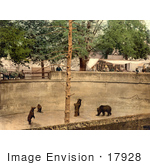 #17928 Picture Of Bears In A Pit At A Zoo Switzerland