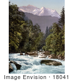 #18041 Picture Of Lutschine River Running Through An Evergreen Forest Jungfrau Mountain Switzerland