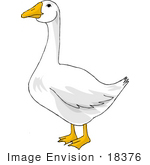 #18376 White Goose Clipart