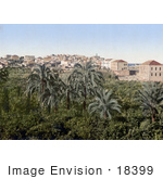 #18399 Photo Of A Garden In The City Of Jaffa Holy Land Israel