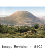 #18402 Photo Of Mount Tabor Har Tavor Itabyrium Jebel Et-Tur And The Mount Of Transfiguration Holy Land Israel