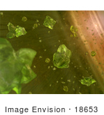 #18653 Stock Photo Of Possible Seeds Of Planets Green Crystals In Space