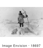 #18697 Photo of a Male Eskimo Hunter Man With Bow and Arrows, Standing Over a Killed Polar Bear by JVPD