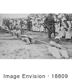 #18809 Photo Of Navy And Marine Corps Men In A Battle Of Tug Of War