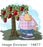 #18877 Chubby Boy Picking A Red Apple From A Tree Clipart