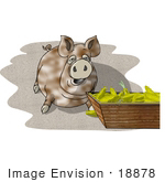 #18878 Fat Farm Pig Eating Clipart