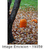#19359 Photo Of Carved Halloween Pumpkins On Autumn Leaves By A Tree Trunk