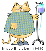 #19439 Chubby Orange Tabby Cat In A Hospital Gown And Slippers Walking With Iv Fluids Clipart