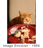 #1954 Cat Sneaking Human Food