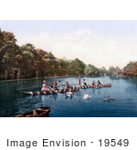 #19549 Photo Of People Rowing Boats Near Swans In Karlovy Vary Carlsbad Bohemia Czech Republic
