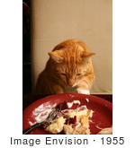 #1955 Cat Sneaking Human Food