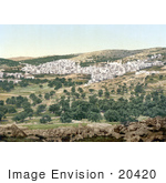 #20420 Historical Stock Photography Of The City Of Hebron On The West Bank