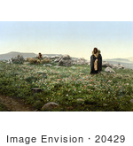#20429 Historical Stock Photography Of Two Shepherds Tending To Their Sheep On A Hilltop With Wildflowers Hadjar En Nasaroh Holy Land