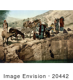 #20442 Historical Stock Photography Of Bedouins With Their Mules Drawing Water With Bags Holy Land