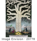 #20778 Stock Photography Of A Tree With Dates And Events In Irish History