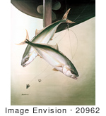 #20962 Clipart Image Illustration Of Yellowtail Fish (Seriola Lalandei) Swimming After Hooks Under A Boat