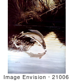 #21006 Clipart Image Illustration Of An Arctic Grayling Fish (Thymallus Arcticus) Jumping Out Of Water To Bite A Fishing Hook