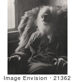 #21362 Historical Stock Photography Of Walt Whitman Sitting In A Chair By A Window 1891