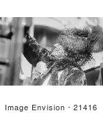 #21416 Stock Photography Of The Actress Sarah Bernhardt Wearing A Plumed Hat And A Veil Over Her Face