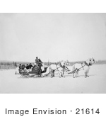 #21614 Stock Photography Of A Team Of Horses Pulling A Us Mail Sled