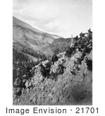 #21701 Stock Photography Of Mountain Slopes Of Mt Shasta California