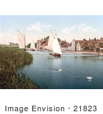 #21823 Historical Stock Photography Of Two White Ducks Near Sailboats At Horning Village In Norfolk England