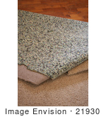 #21930 Stock Photography Of Carpet And Padding Being Pulled Away And Revealing A Wood Floor
