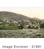 #21991 Stock Photography Of People And Horses Harvesting Hay In Malvern Wells Worcestershire England
