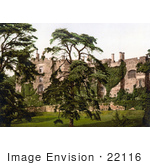 #22116 Historical Stock Photography Of Overgrown Ivy On The Exterior Walls Of The Berkeley Castle In Stroud Gloucestershire England Uk